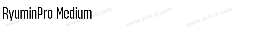 RyuminPro Medium字体转换